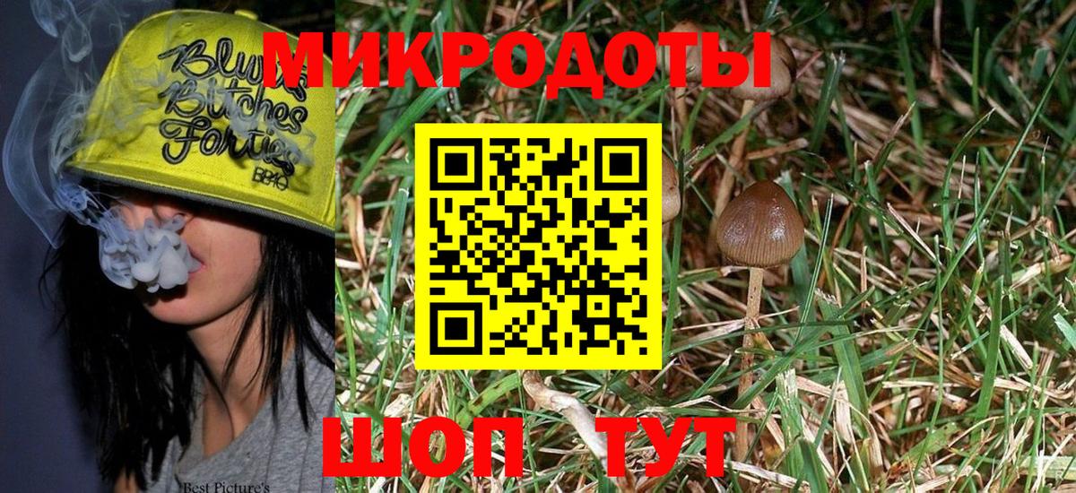 магазин продажи   Вход с VPN  Малгобек  Галлюциногенные грибы Magic Shrooms 