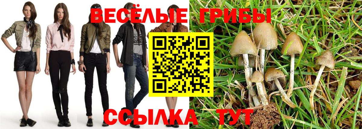 Псилоцибиновые грибы Magic Shrooms Малгобек