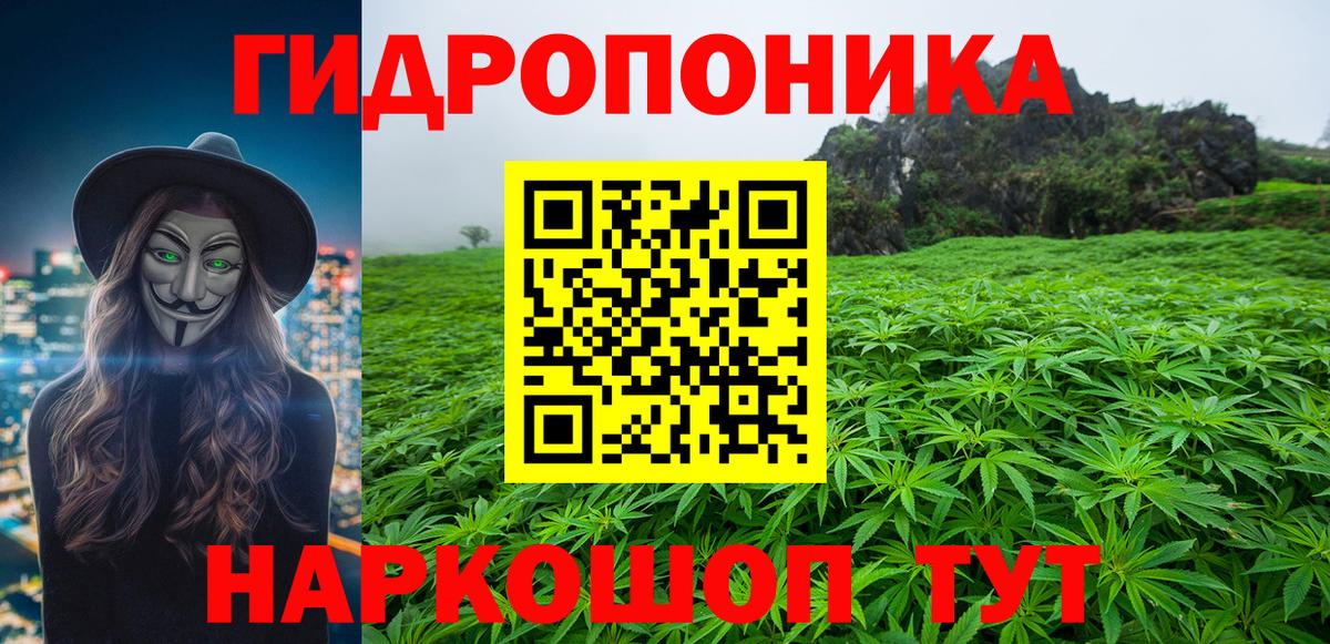 Шишки марихуана семена  Бошки Шишки AK-47  Вход с VPN  Канабис VHQ  Малгобек 
